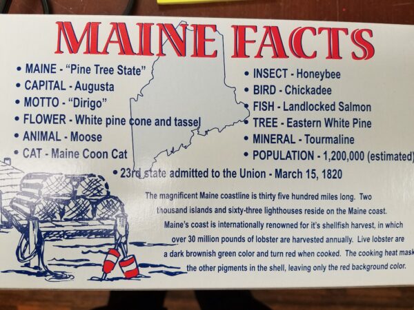 Salt Water Taffy Maine Inspired Box