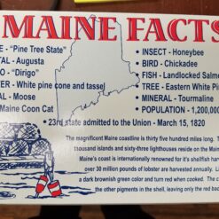 Salt Water Taffy Maine Inspired Box