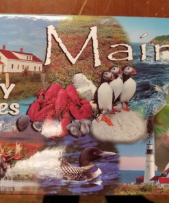 Salt Water Taffy in Maine Collage Box