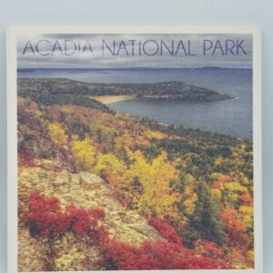 Acadia National Park Fall Foliage Coaster