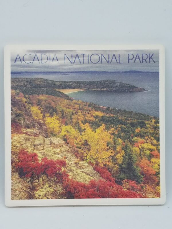 Acadia National Park Fall Foliage Coaster