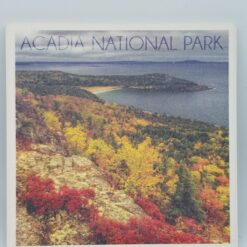 Acadia National Park Fall Foliage Coaster