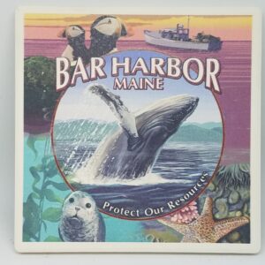 Bar Harbor Maine Collage Coaster