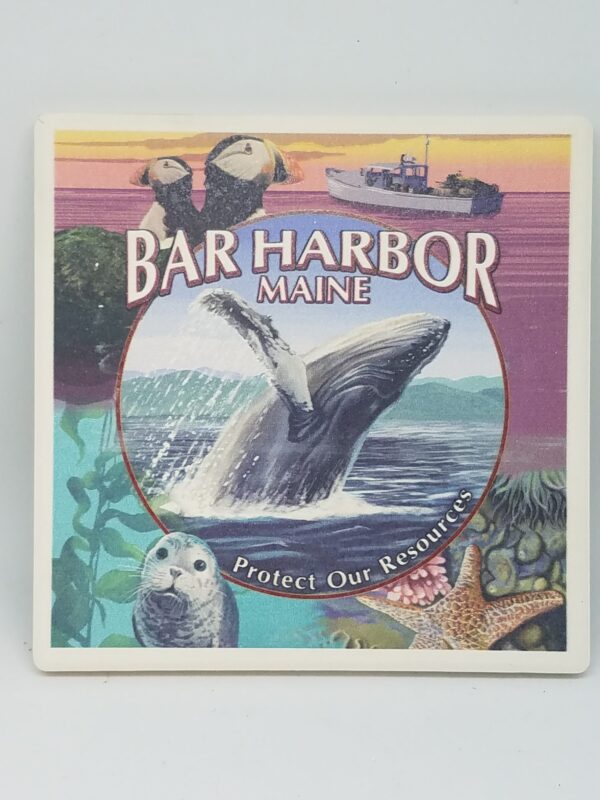 Bar Harbor Maine Collage Coaster