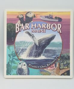Bar Harbor Maine Collage Coaster