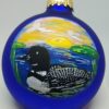Loon Painted Glass Ornament