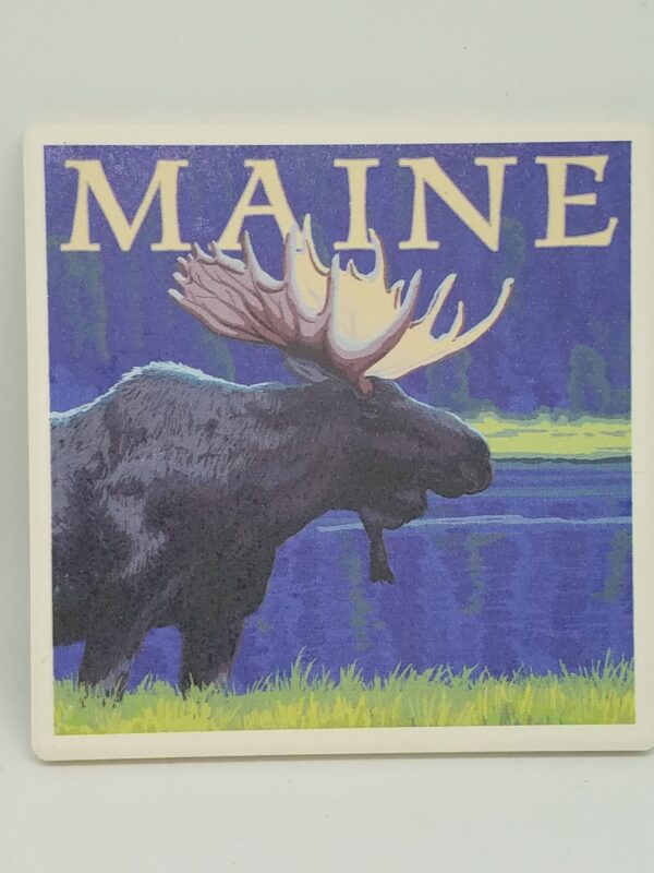 Moose in Meadow Coaster