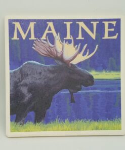 Moose in Meadow Coaster