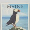 Puffin on Coast Coaster
