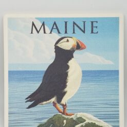 Puffin on Coast Coaster