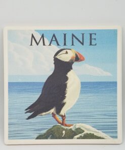 Puffin on Coast Coaster