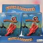 Grow-a-Lobster-Toy_Christmas_Vacation_Shop_Bar_Harbor_Maine
