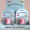 Grow-an-Axolotl-Toy_Christmas_Vacation_Shop_Bar_Harbor_Maine