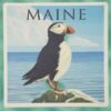 Maine-Puffin-Maine-Coaster_Christmas_Vacation_Shop_Bar_Harbor_Maine