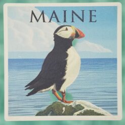 Maine-Puffin-Maine-Coaster_Christmas_Vacation_Shop_Bar_Harbor_Maine