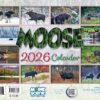 Moose-2026-Calendar-Images_Christmas_Vacation_Shop_Bar_Harbor_Maine