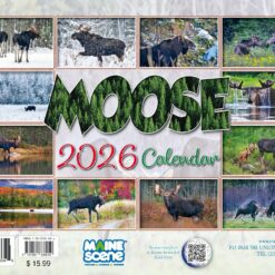 Moose-2026-Calendar-Images_Christmas_Vacation_Shop_Bar_Harbor_Maine