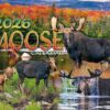 Moose-2026-Calendar_Christmas_Vacation_Shop_Bar_Harbor_Maine
