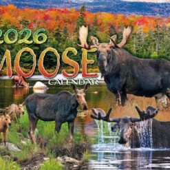 Moose-2026-Calendar_Christmas_Vacation_Shop_Bar_Harbor_Maine