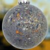 Mussel-with-Lobster-and-Glitter-Accent-Glass-Ball-Sea-Shells-Ornament_Christmas_Vacation_Shop_Bar_Harbor_Maine